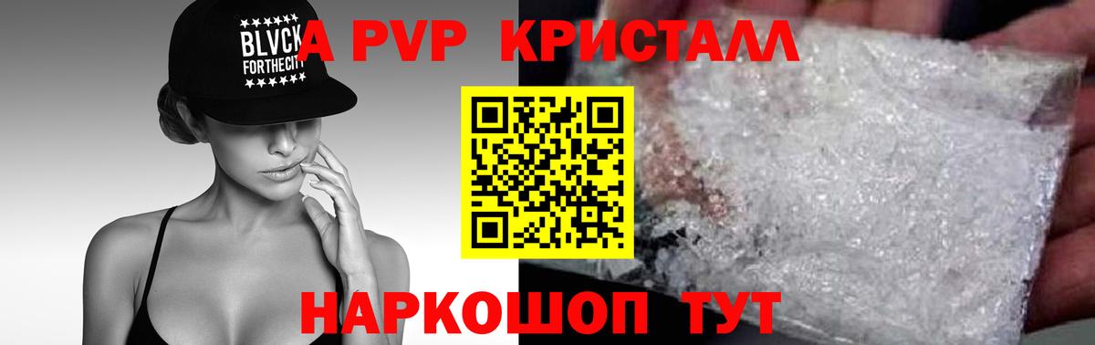 APVP СК Прокопьевск