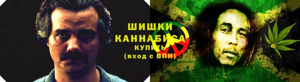 ПСИЛОЦИБИНОВЫЕ ГРИБЫ Протвино