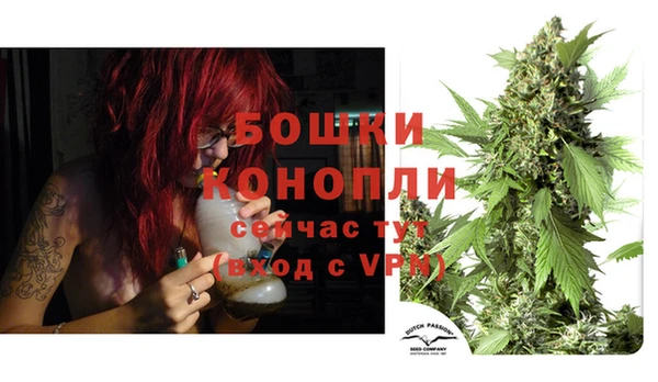 метадон Видное