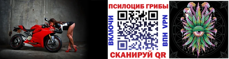 Псилоцибиновые грибы Magic Shrooms  как найти   Прокопьевск 