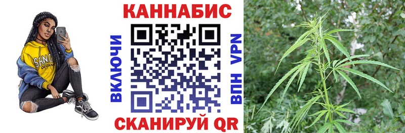 МАРИХУАНА план  Прокопьевск 